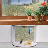 New Indoor Window Bird Feeder 180 degree Panoramic