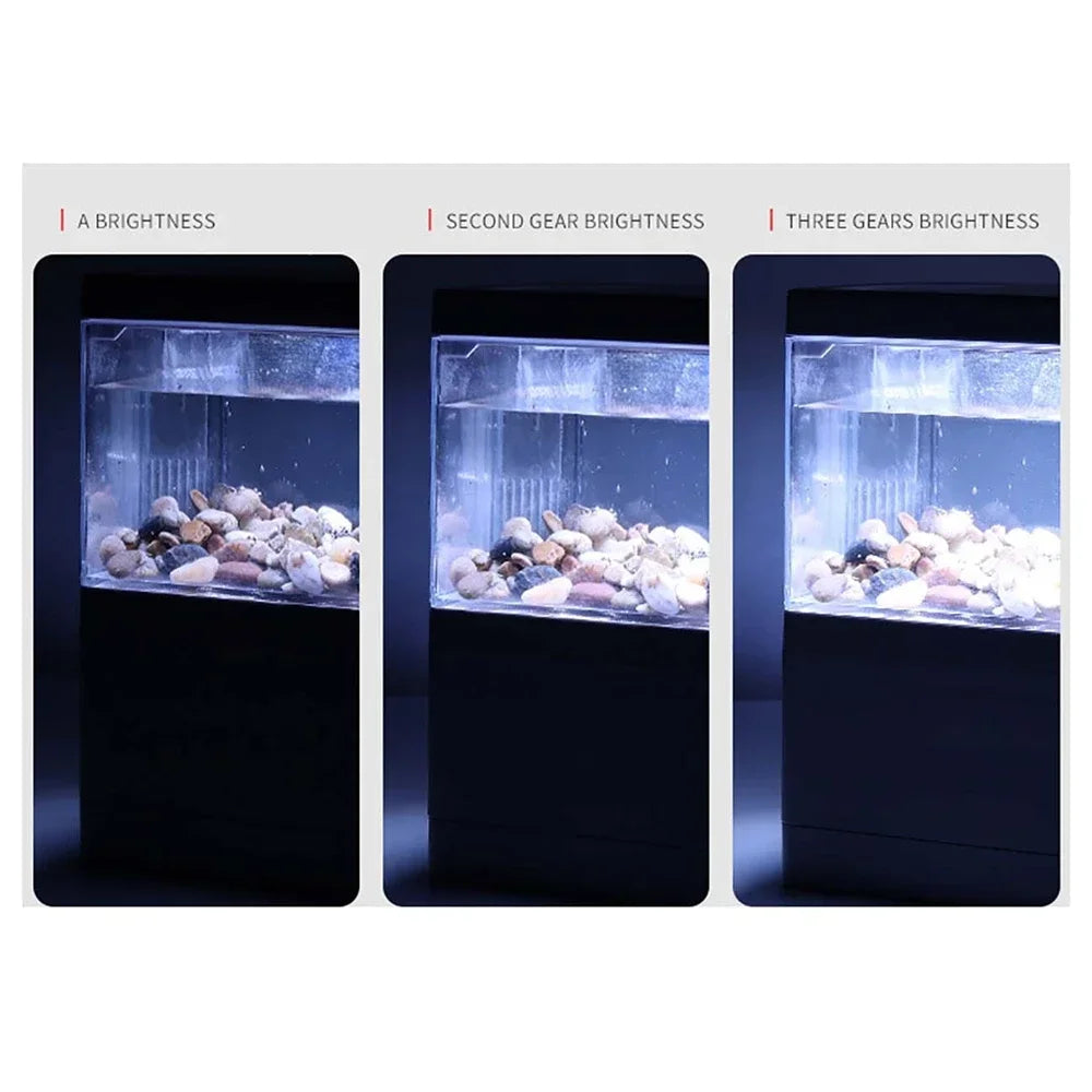 Mini Desktop Fish Tank With Filter System LED