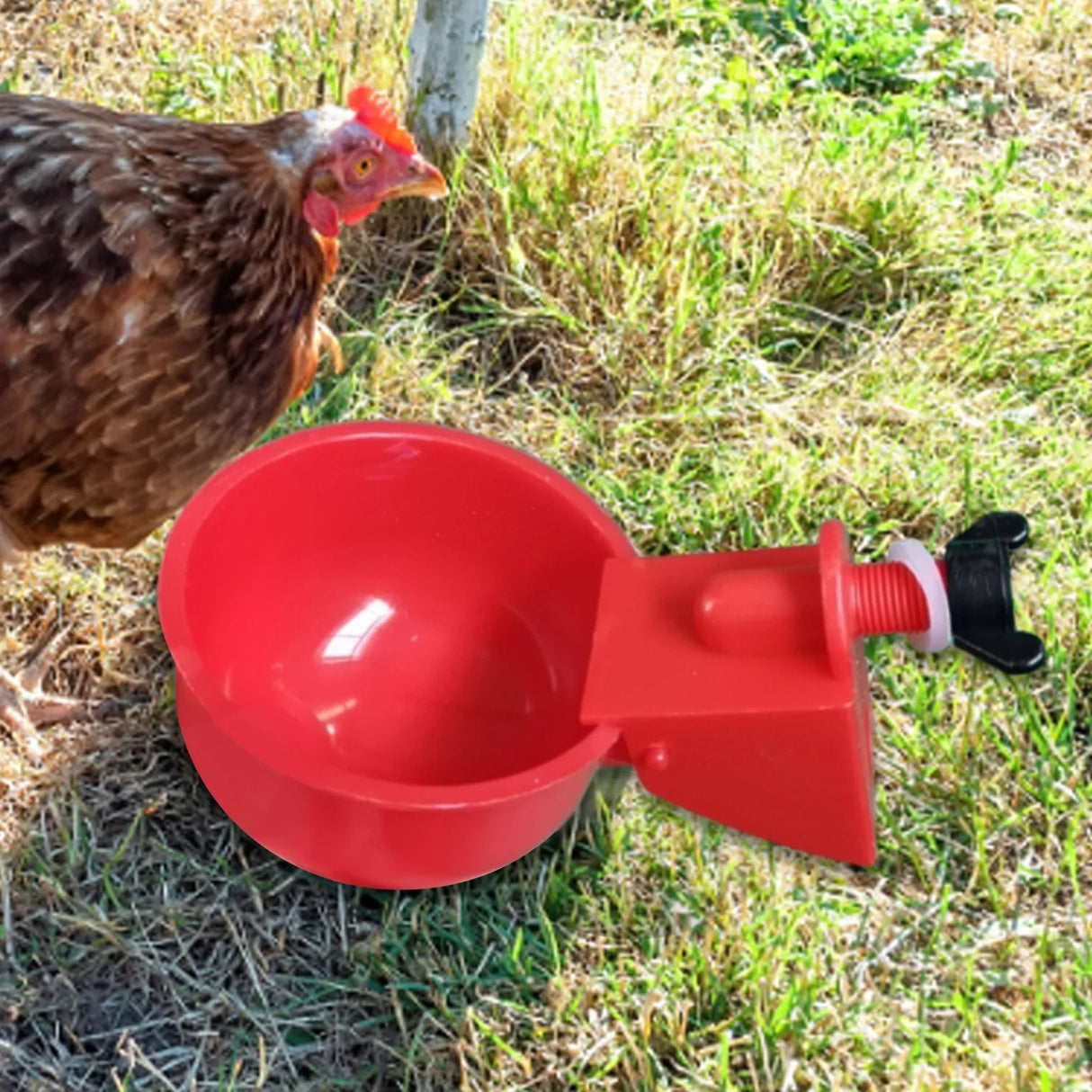 6Pcs Poultry Drinking Bowl Feeder Automatic Chicken Drinker