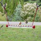 Hummingbird Feeder with Hole Birds Feeding Transparent Pipe