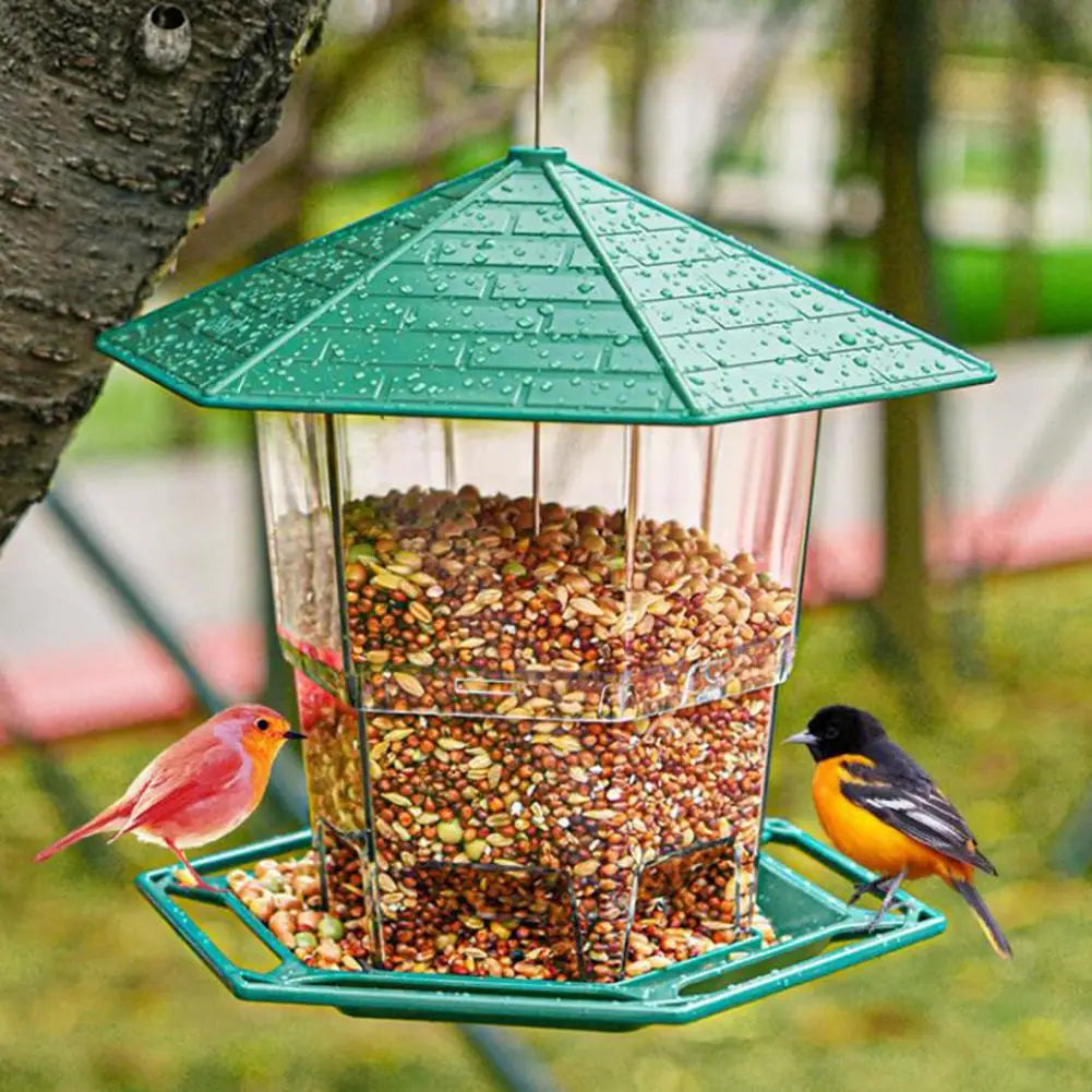 Bird Food Feeder Durable Large Capacity Sturdy Outdoor