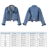 Spring Autumn Women Denim Jacket Casual Long Sleeve