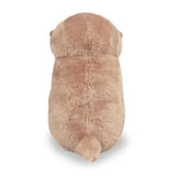 Cute Otters Holding Fish Plushie Keyrings Lightweight Hanging