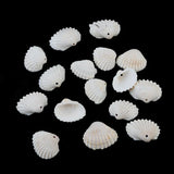 50pcsLot White Sea Shell Beads for Jewelry Making