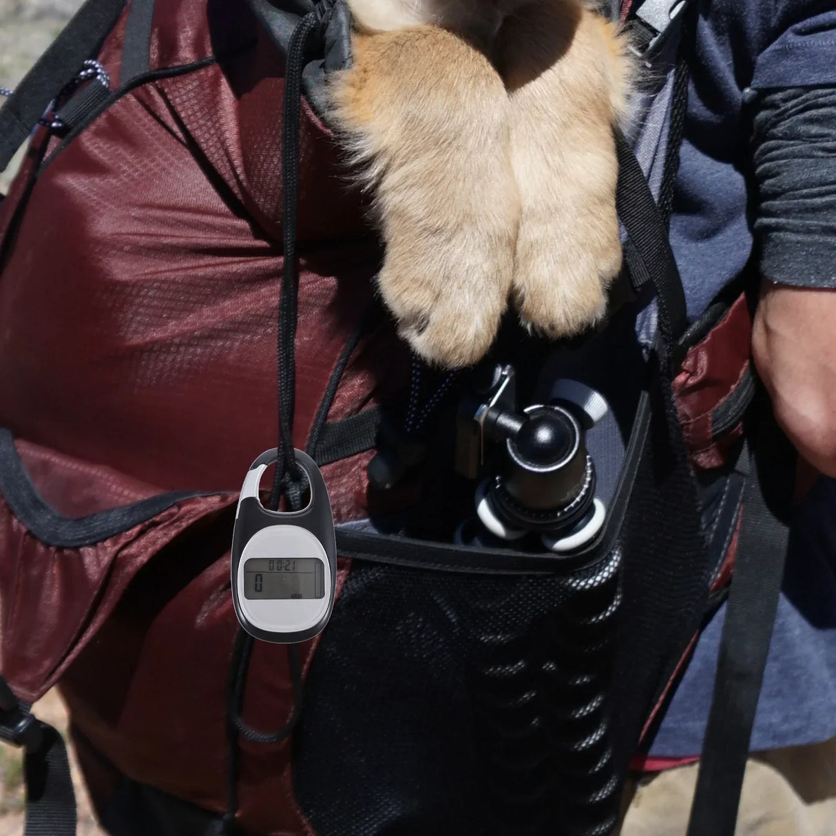 Pedometer Portable Outdoor Accessories Clip-on Professional Calorie Counter