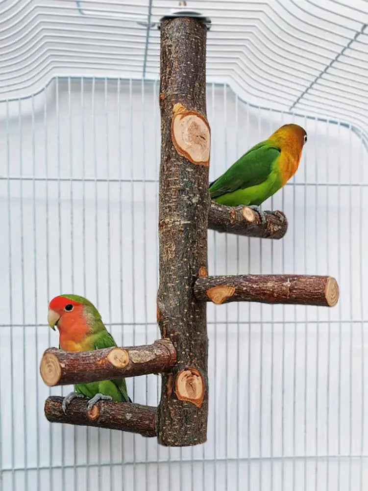 Pet Parrot Bird Standing Stick Wood Pole Bird