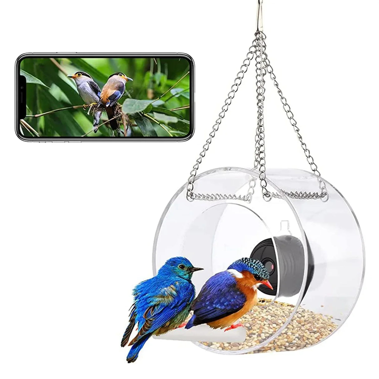 Bird Feeder with Camera, Acrylic Hanging Smart Bird