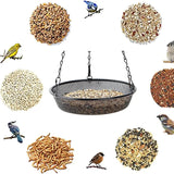 Metal Mesh Hanging Bird Feeder Tray, Platform Seed