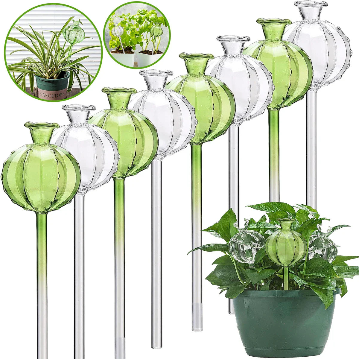 3/6Pcs Plant Self Watering Globes Automatic Plant Water