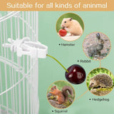 12pcs Birds Food Holder Pet Parrot Feeding Fruit