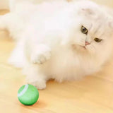 Electric Cat Ball Toy Training Self Moving toy