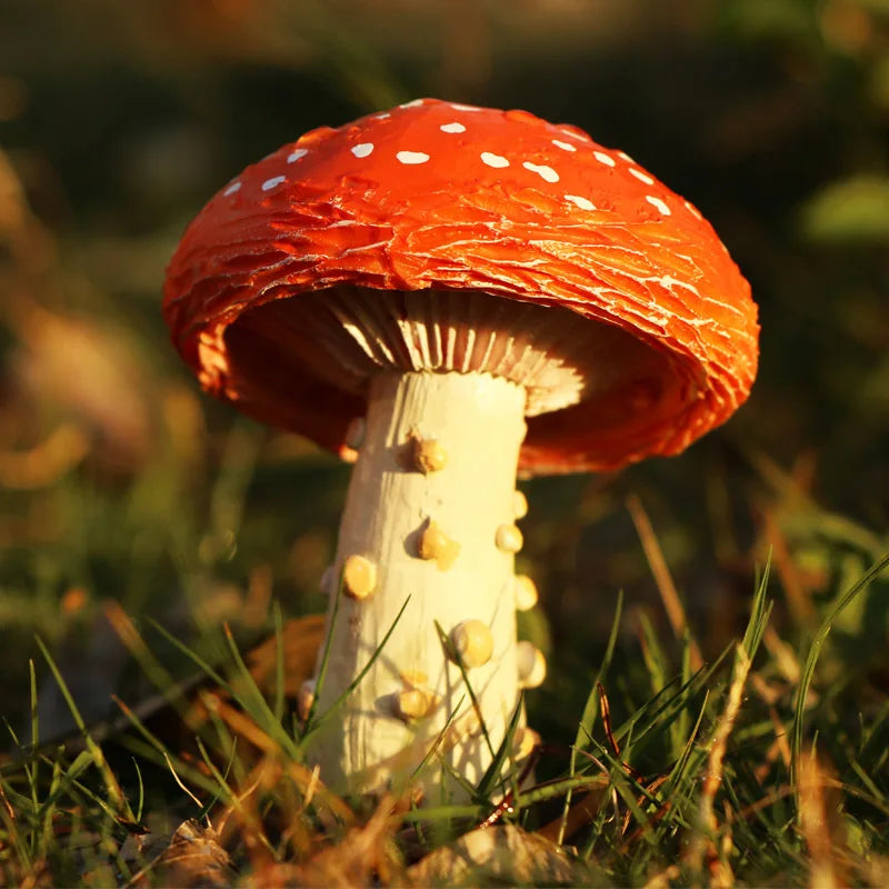 Miniatures Mushroom Garden Decoration Resin Statue Figurine
