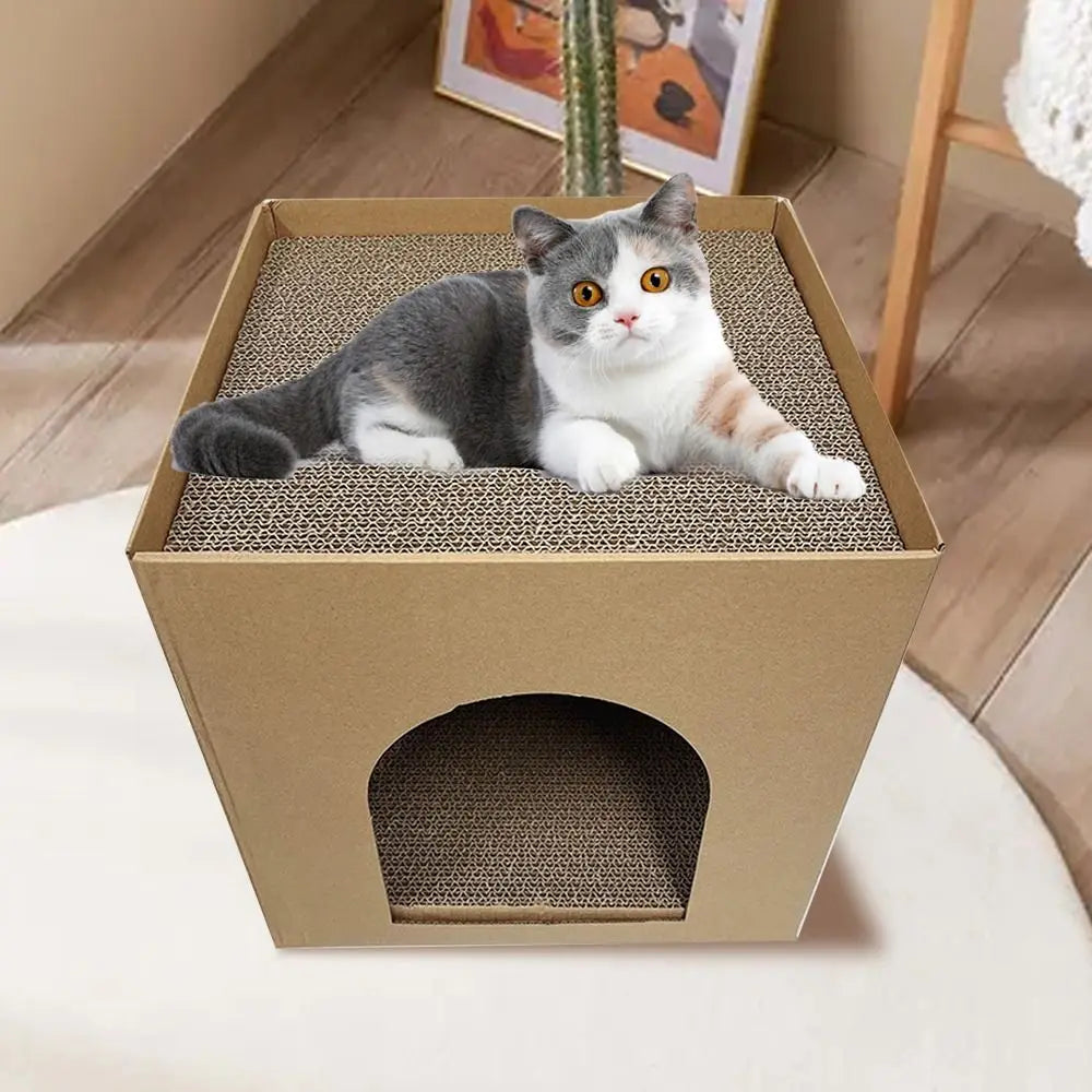 Cat Cardboard Box Wear-resistant Kitten Puppy Exercising Grinding