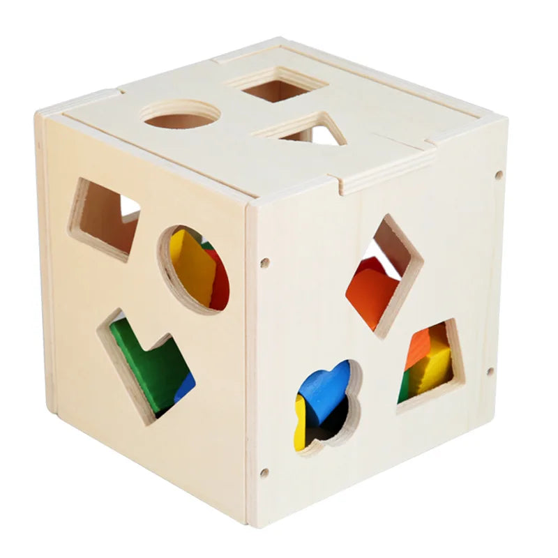 Montessori Hole Intelligence Box Geometric Shapes 3D Puzzle