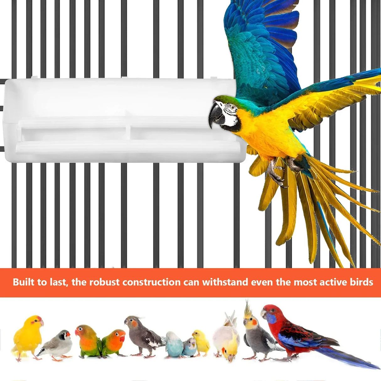 Cage Food Box Bird Spoon Water Dispenser Birds