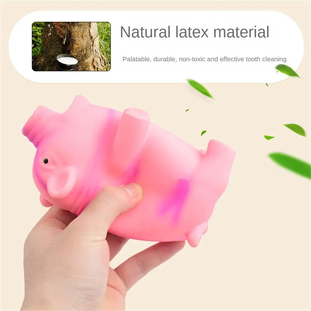 Cute Dog Chew Toys Rubber Sound Pig Grunting