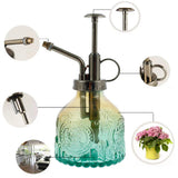Plants Watering Can Vintage Glass Plant Mister Spray