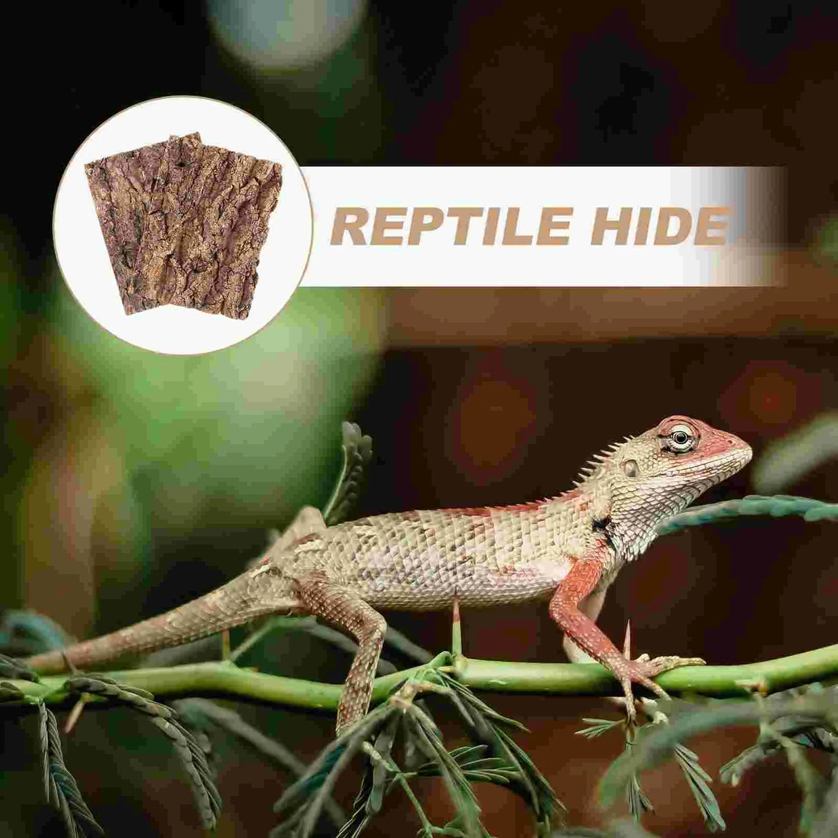 2Pcs Terrarium Tree Bark Decor Turtle Snake Hide