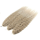 Ariel Hair Synthetic Twist Crochet Curly Hair 24