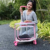 Stroller Kitten Cat Carriers Crate Backpack Transporter Cat