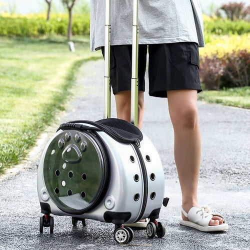 Pet Luggage Backpack Outdoor Large Capacity Breathable Portable