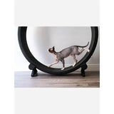 Pet Toys Exercise Wheel Cat Running Exercise Wheel