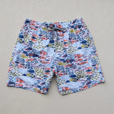 High Quality Brand Vilebre Beach Board Shorts Men