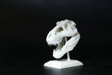NOVA3D UV resin Liquid Standard Photopolymer Resin For