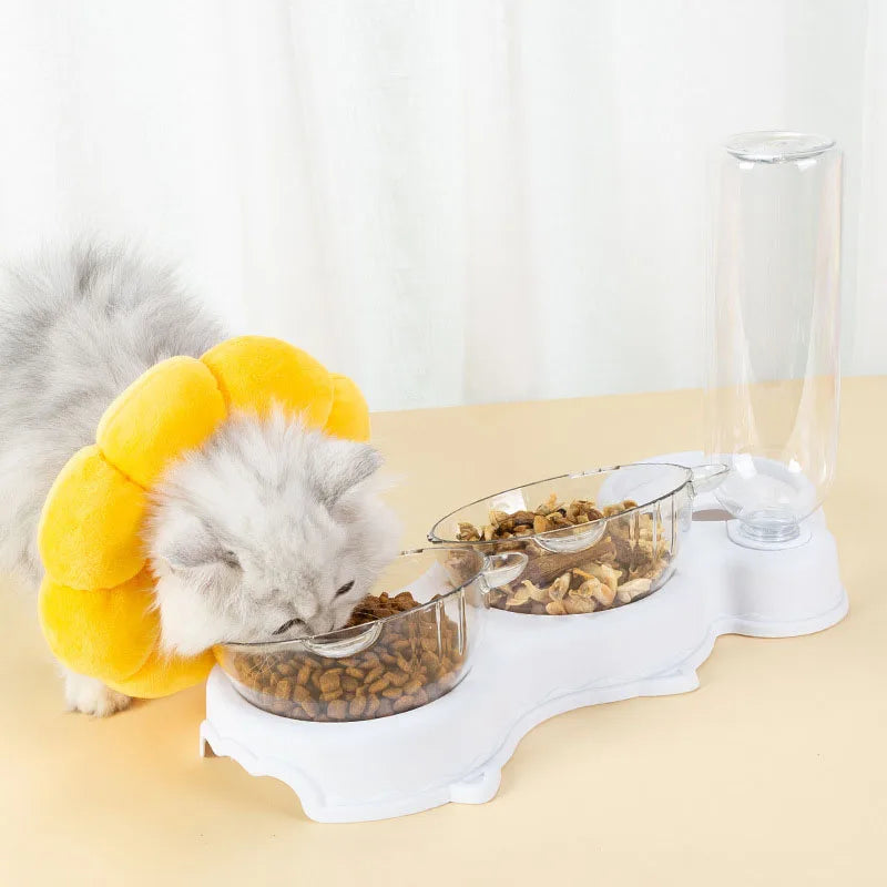 Cat Food Bowl Pet Feeder Automatic Feeder Water