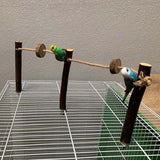 Pet Parrot Wooden Perch Stand Hanging Climbing Hammock