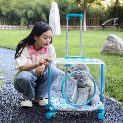 Stroller Kitten Cat Carriers Crate Backpack Transporter Cat