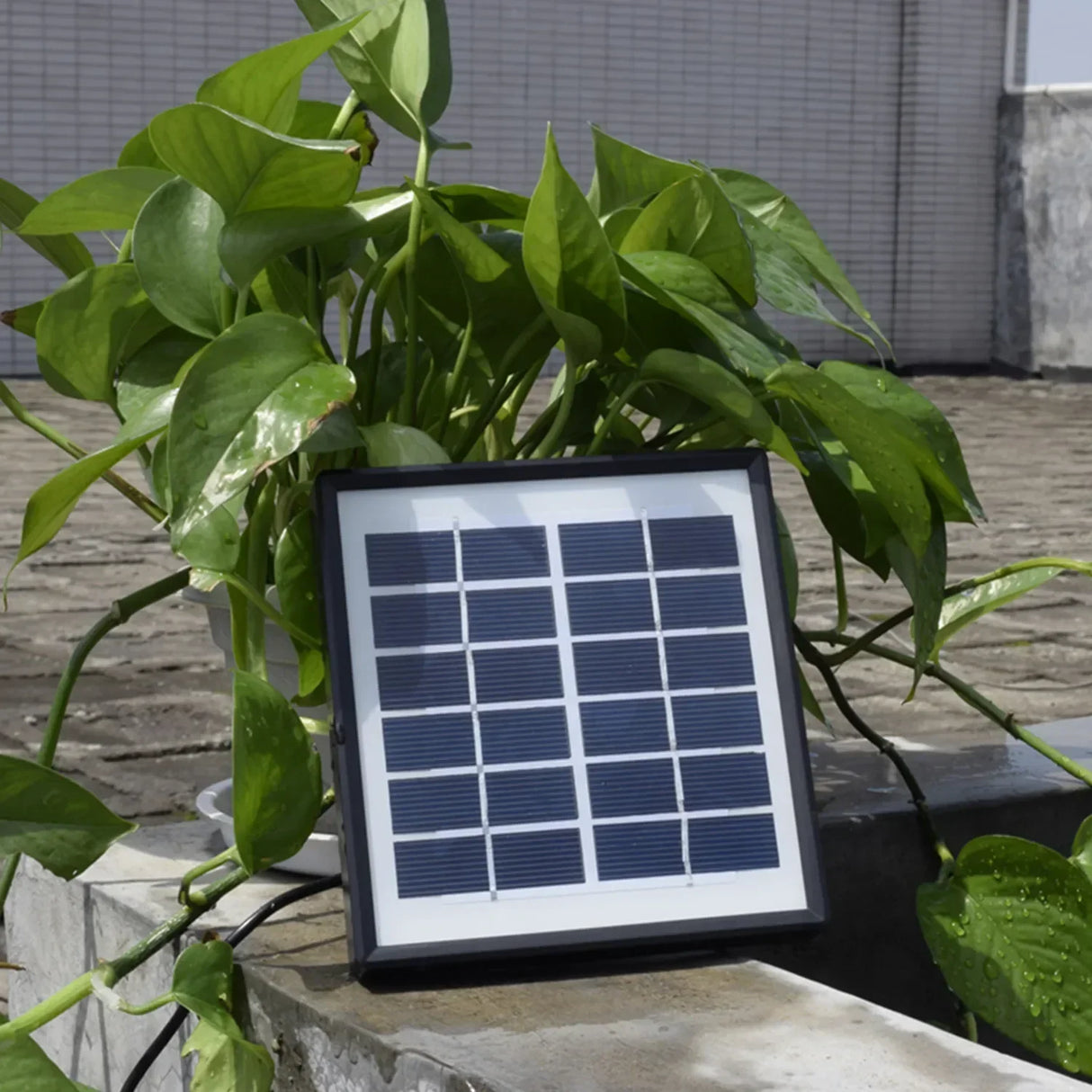 Oxygen Goods Equipment Products Solar Fishbowl Accessories Accessory