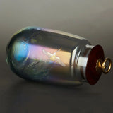 Pet Urn for Ashes Cat Glass for Human