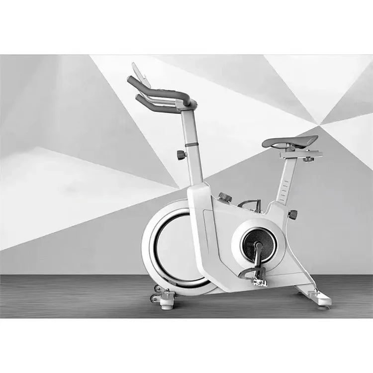 Wholesale China Manufacturer Indoor Exercise GYM Cycling Bike