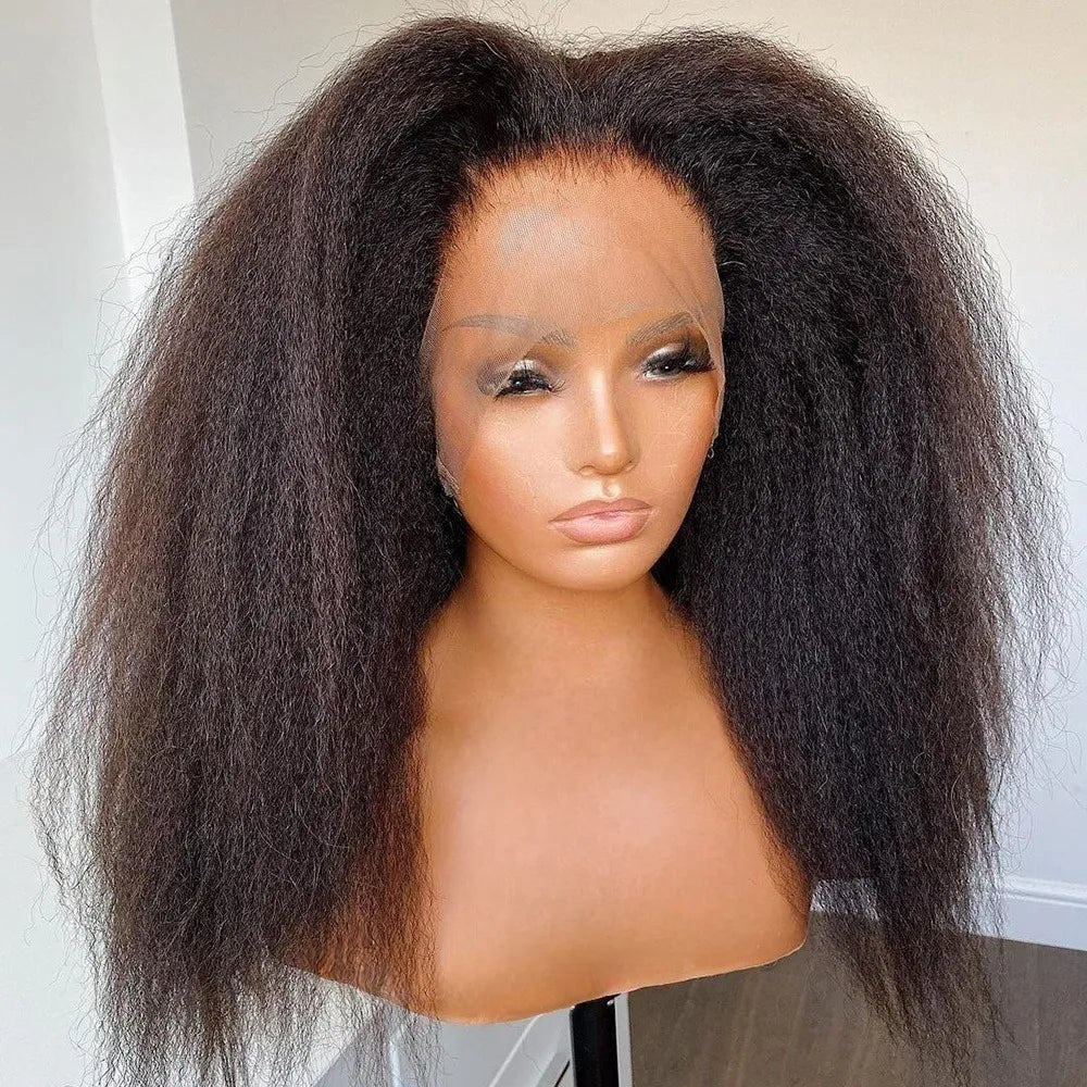 HD Transparent 13x4 13x6 Lace Frontal Wig Kinky