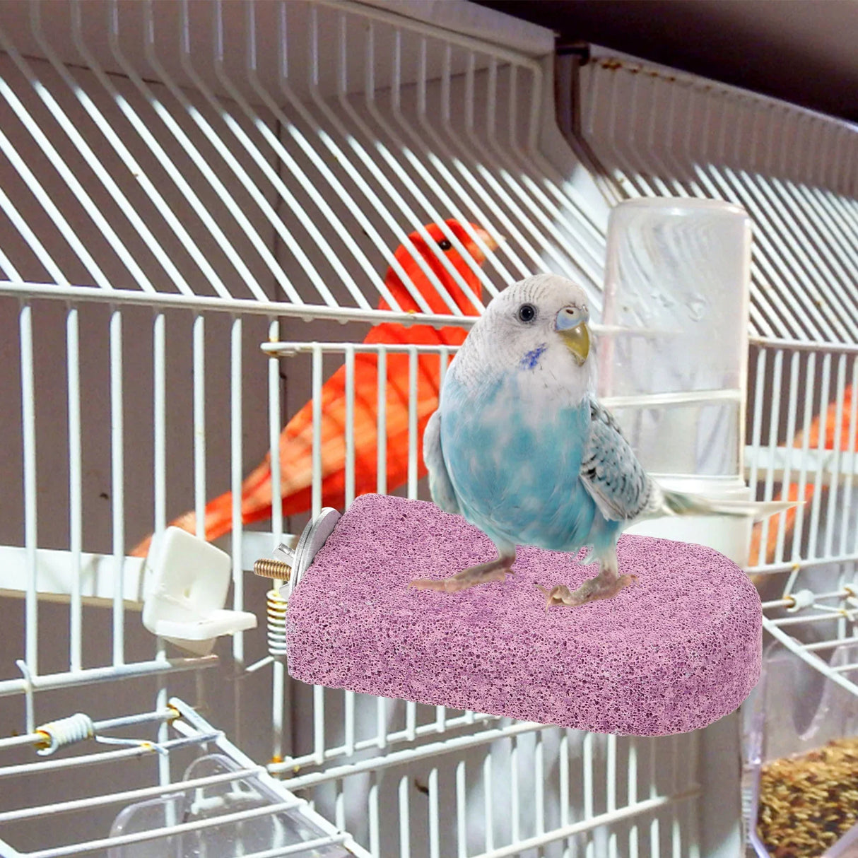 Hamster Teething Station Bird Parrot Perch Stand Perches