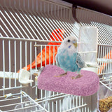 Hamster Teething Station Bird Parrot Perch Stand Perches