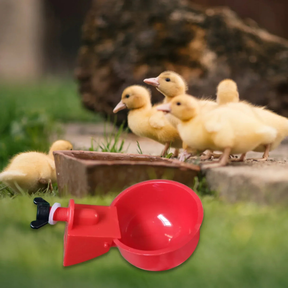 6Pcs Poultry Drinking Bowl Feeder Automatic Chicken Drinker
