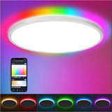 ZigBee Tuya Smart Backlit Ceiling Light With Voice