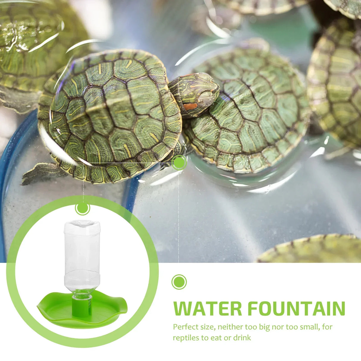 Automatic Reptile Feeders Waterer Turtle Food Water Bowl