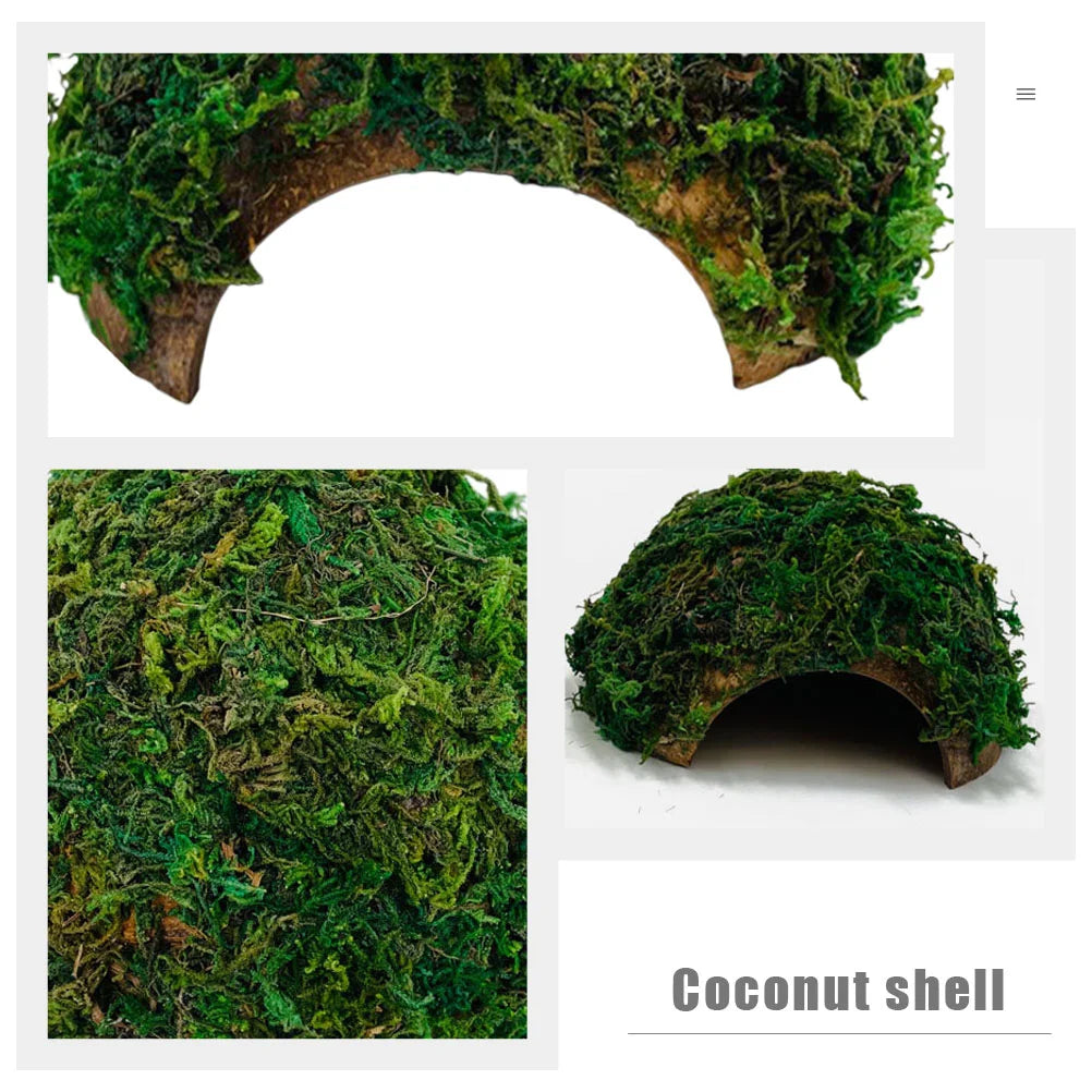 Reptile Hideout House Terrarium Tank Hamster Shelter Tortoise