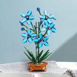 City Creativity Bouquet Flower Cymbidium Faberi Bonsai Potted