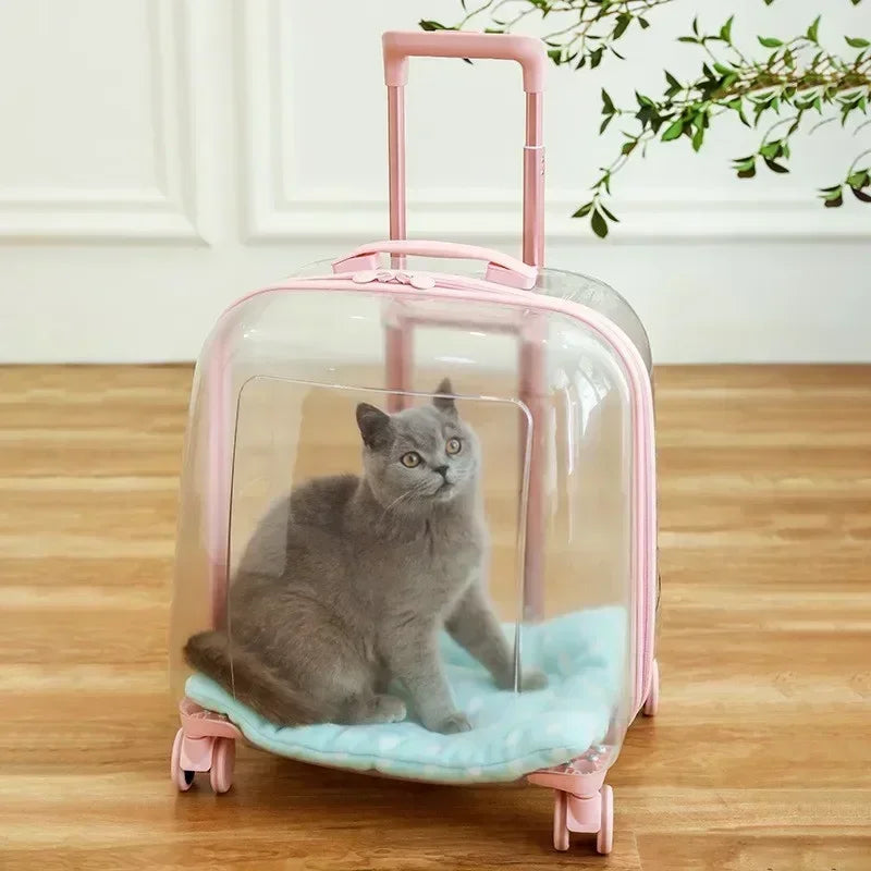 Clear pet backpack, cat carrier bag, portable capsule,