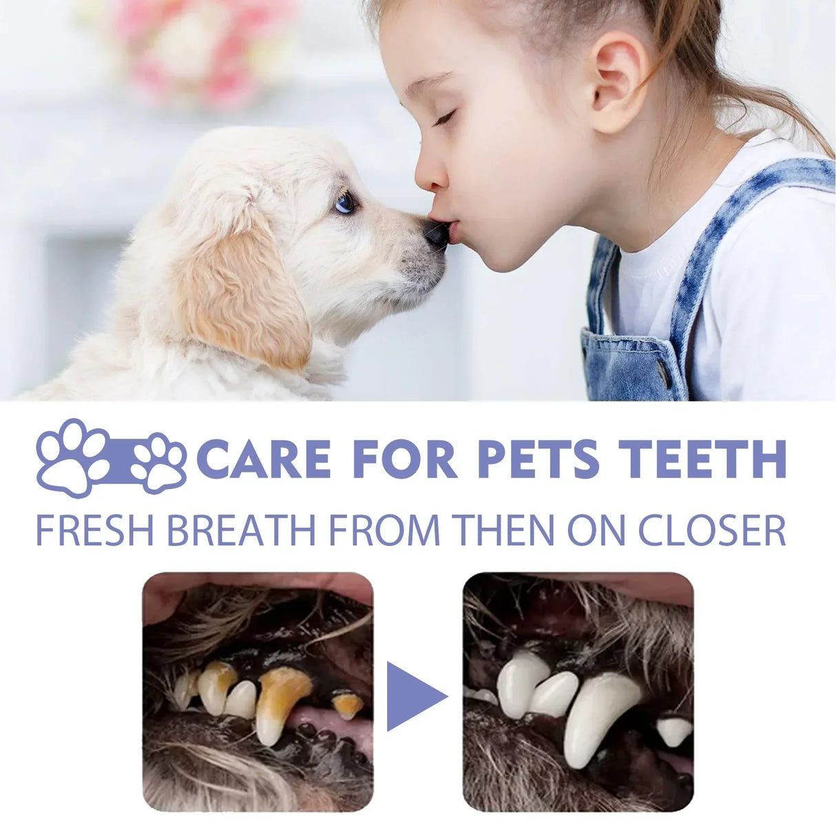 50ml Pet Oral Cleanse Spray Dogs Cats Teeth