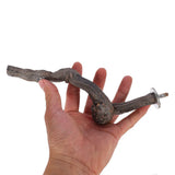 Pet Parrot Bird Standing Stick Grape Wood Pole