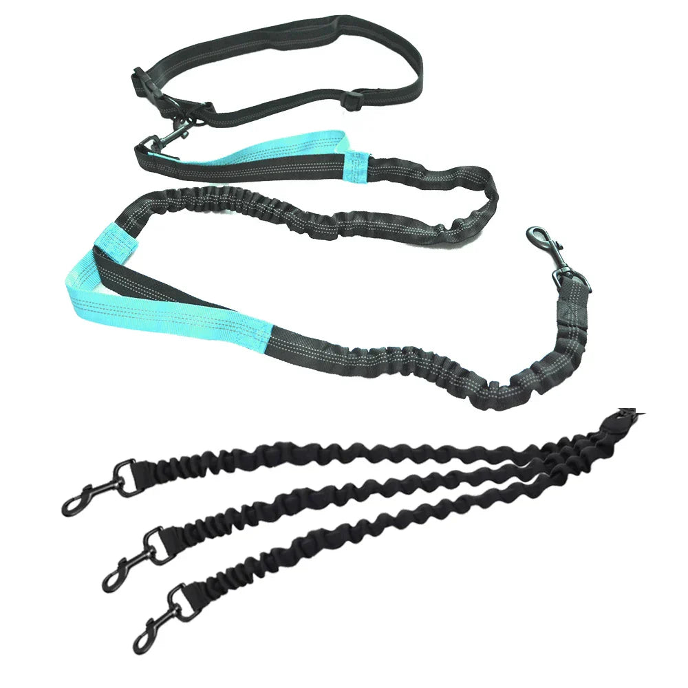 Dog Leash Hands-free Leash Suitable for Pets Running