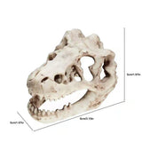 1 Pcs Dragon Resin AquariumTerrarium Decoration Crocodile Skull