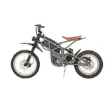 EMC02 Wholesale Electric Vintage Bicycle Factory Direct Sell