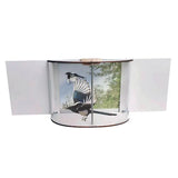 New Indoor Window Bird Feeder 180 degree Panoramic
