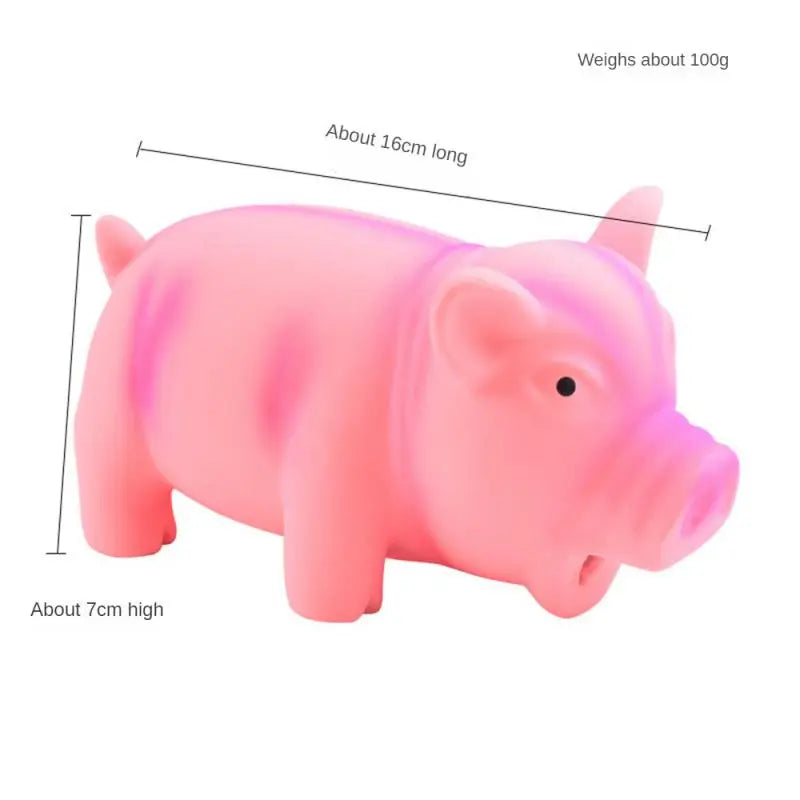 Cute Dog Chew Toys Rubber Sound Pig Grunting